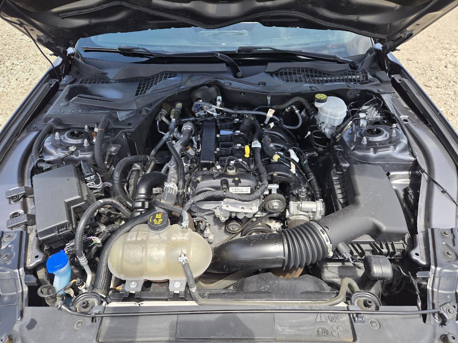 2021 Ford Mustang EcoBoost