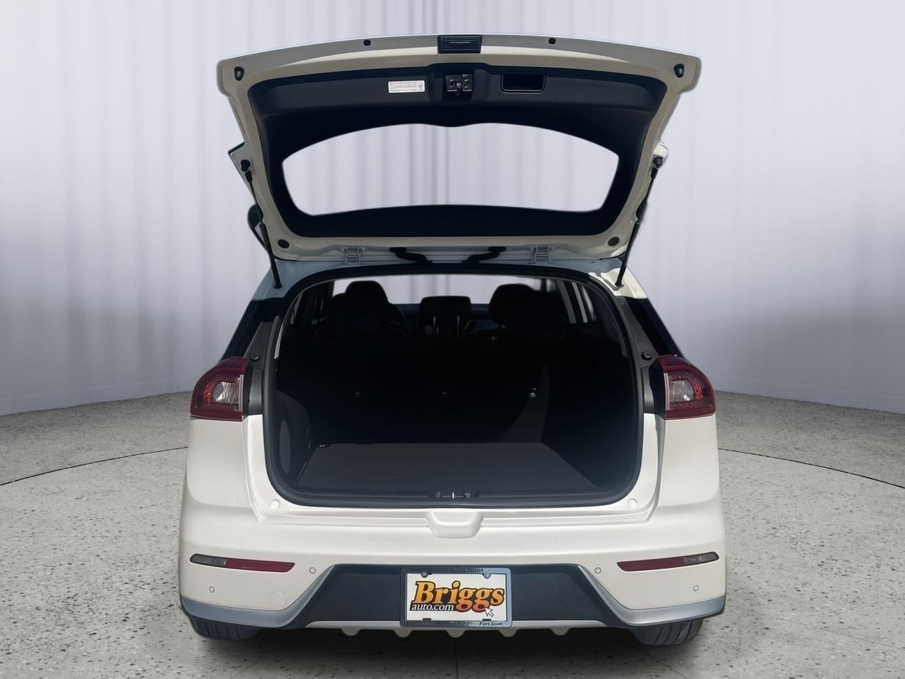 2019 Kia Niro Touring